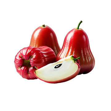 Illustration of Java apple or wax apple, rose apple, Malay apple in full and pieces.