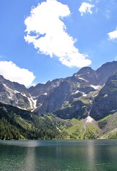 view of the lake in the mountains, Morskie Oko in the Tatra Park, greenery, a tree against the background of the lake, a lake between the mountains