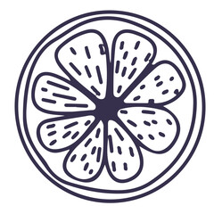 Line vector illustration of orange slice. Hand drawn icon