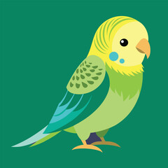 Bird vector