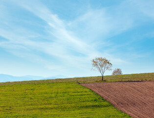 Autumn Carpathian hill landscape (Ivano-Frankivsk oblast, Ukraine). Rural scene with field.
