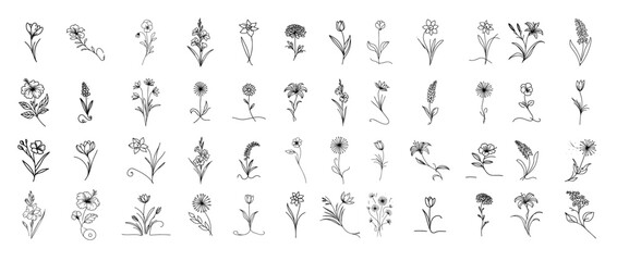 flowers in doodle style hand drawn large collection vectors oneline