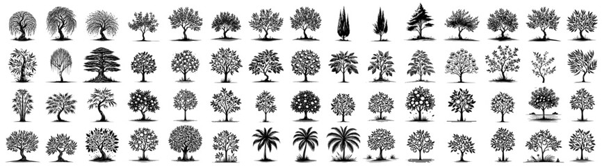 collection of ornamental trees of different kinds, black vector