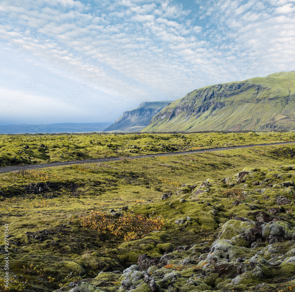 Wall mural scenic autumn green lava fields near fjadrargljufur canyon in iceland. green moss on volcanic lava s