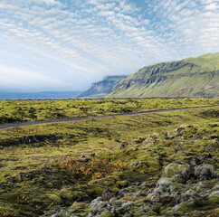 Fototapeta premium Scenic autumn green lava fields near Fjadrargljufur Canyon in Iceland. Green moss on volcanic lava stones. Unique lava fields growth after Laki volcano eruption.