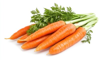 Fresh Orange Carrots with Green Tops