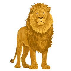 beautiful lion realistic animal lion of Africa	
