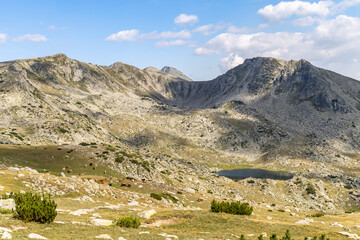 Fototapeta premium Mountain landscape of a glacial lake and hard of cows in the valley between high mountain peaks and a beautiful blue sky as background in a hot summer day.