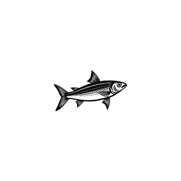 black and white fish drawing clip art preview