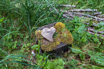 Closeup of a log coverd with green moss and a heart shaped rock in the middle of it. 