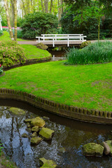 Obraz premium fresh lawn with flowers