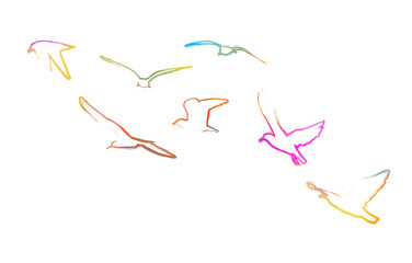 colored flying seagulls. hand drawing. Not AI. Vector illustration