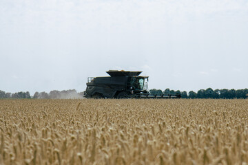 Obraz premium Combine harvester in a wheat field, mid-distance view, capturing the harvesting process. Efficient agricultural machinery working during harvest season. Farming technology in action.