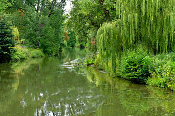 Beautiful scenery in a city park.
