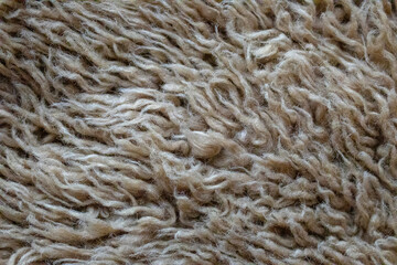 Fuzzy Faux Fur Texture