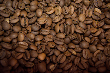 Grãos de Café
