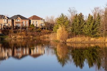 Obraz premium Sunset-lit suburban homes reflect on a calm pond, flanked by autumnal trees and visited by a flock of geese. Taken in Toronto, Canada.
