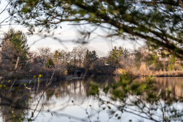 Sunset-lit tranquil lake with reflections of surrounding foliage and buildings, framed by foreground branches. Taken in Toronto, Canada.