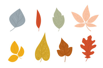 Set of autumn leaves in flat style