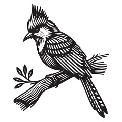 Bird Silhouette Vector Art Illustration