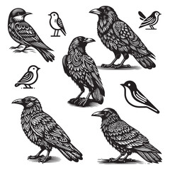 Bird Silhouette Vector Art Illustration Set