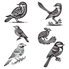 Bird Silhouette Vector Art Illustration Set
