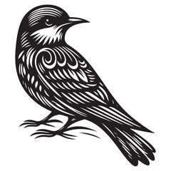 Obraz premium Bird Silhouette Vector Art Illustration
