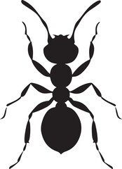 Exploring the Intricacies of Ant Silhouettes: Design, Art, and Symbolism