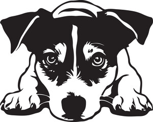 Jack Russell Terrier Dog Lying Down Vector