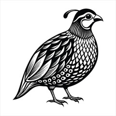 Obraz premium Quail silhouette bird illustration,