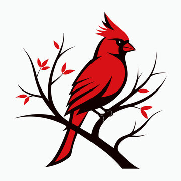 recommend clip art: Northern cardinal Bird silhouette vector style with a tree branch on a white background.