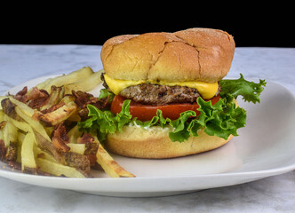 cheese burger on a bulkie roll  with fries