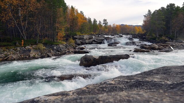 Beautiful whitewater rapids flowing over a rocky river bed in Norway on a crisp autumn day.