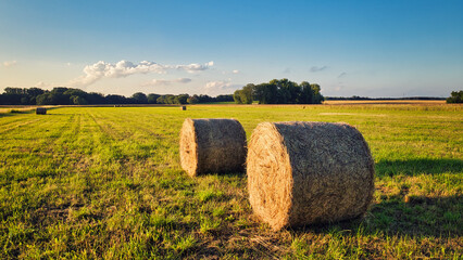 Heuballen - bales of hay - field - harvest - summer - straw - farmland - blue cloudy sky - golden -...