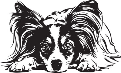 Papillion Dog Lying Down Stylized Vector