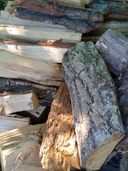 stack of firewood