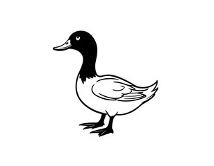 Obraz premium Drawing of a cute duck to color.