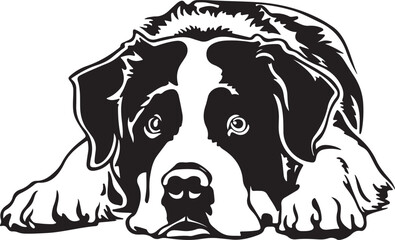 Saint Bernard Dog Lying Down Stylized Vector