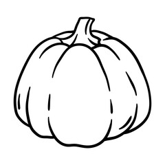 Pumpkin illustration. Autumn harvest of ripe vegetable.