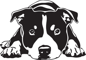 Staffordshire Bull Terrier Lying Down Stylized Vector Illustration