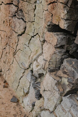 stone wall texture