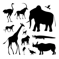 African animals mammals and birds and crocodile. Vector black silhouette collection. © Yaroslava