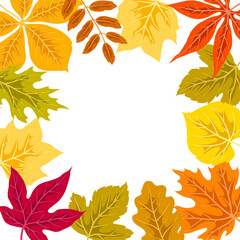Frame with autumn leaves. Background with various foliage.