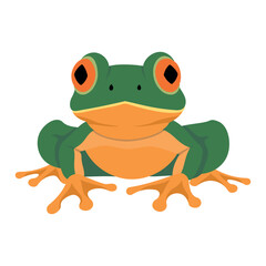 Red-eyed green frog, Agalychnis callidryas