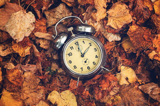 Daylight saving time concept, old analog alarm clock set to two o'clock placed on a pile of dry autumn foliage leaves, top view