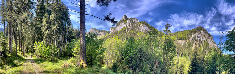 Obraz premium Wanderer auf einem Weg im Wald mit zwei felsigen Gipfeln im Hintergrund, Alpen, Bayern, Deutschland
