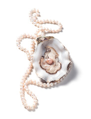 Pearl, One Natural pearl inside the oyster shell, close up, isolated on white background. Nacre....