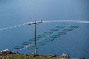 Fischernetze und Strommast am Kvaenangen Fjord in Norwegen