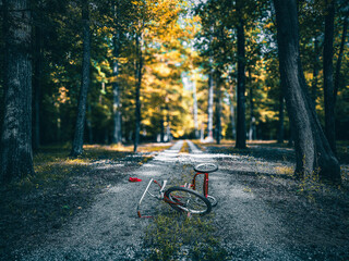 abandoned red tricycle