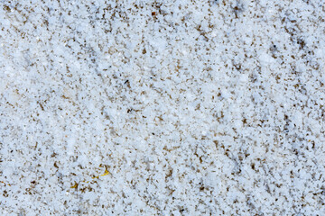 Texture of the sea salt for background. Natural pattern